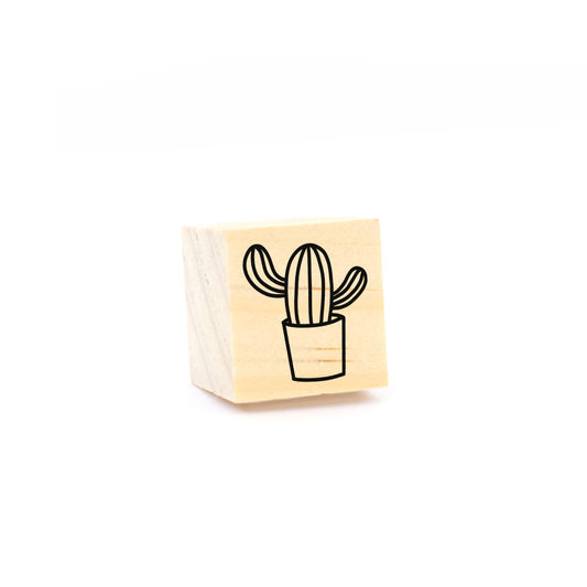 Sellito cactus en maceta